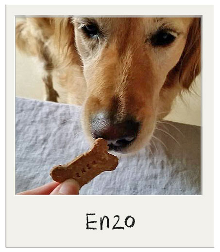 Biscuits avec le nom du chien Enzo !